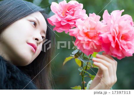 薔薇　女性ポートレート 17397313