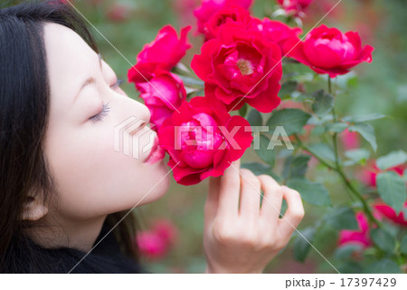 薔薇　女性ポートレート 17397429