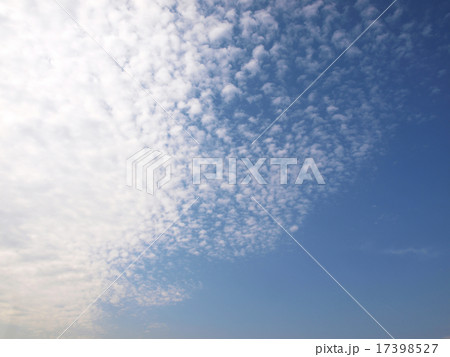 sky sky 17398527