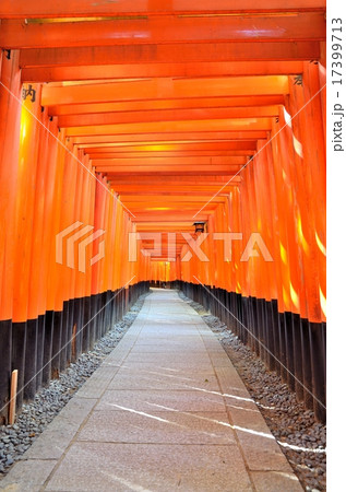 京都 伏見稲荷大社 千本鳥居 京都 伏見稲荷大社 千本鳥居 17399713