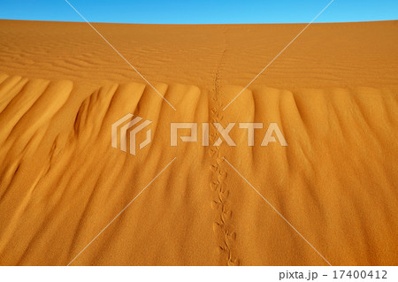 Sand dunes in the Sahara Desert Sand dunes in the Sahara Desert 17400412
