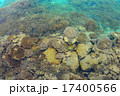 サンゴ礁 17400566