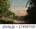 西表島の漂着ゴミ 17400748