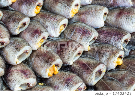 Snake Skin Gourami Fish,Pla Salit Snake Skin Gourami Fish,Pla Salit 17402425
