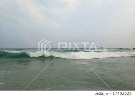 南伊豆　入田浜の海 17402629