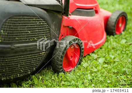 red lawnmower on green grass 17403411