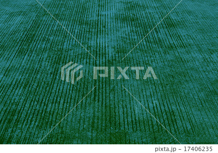 green sidewalk green sidewalk 17406235