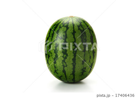 西瓜 17406436