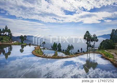 Rice fields on terraced in sunrise 17407252