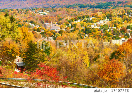 Autumn scene Autumn scene 17407778