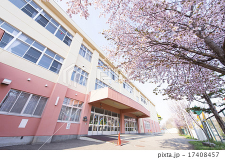 学校と桜の写真素材