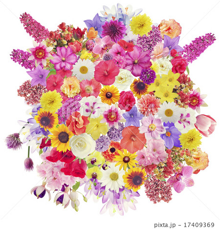Many Flowers for Background 17409369