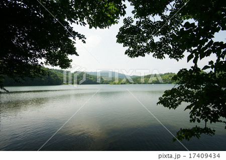 一碧湖 一碧湖 17409434