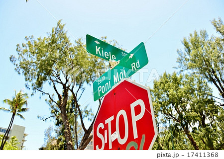 ハワイの休日 17411368