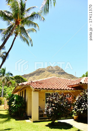 ハワイの休日 17411370