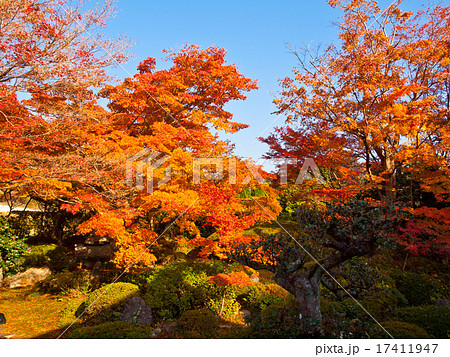 源光庵の紅葉 源光庵の紅葉 17411947