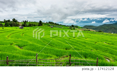 Terraced rice fields with fog in the morning Terraced rice fields with fog in the morning 17412128