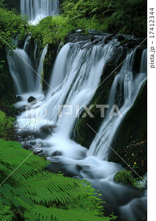 白糸の滝 白糸の滝 17412344