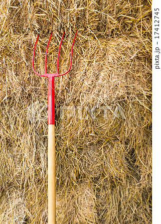 Pitchfork Pitchfork 17412745