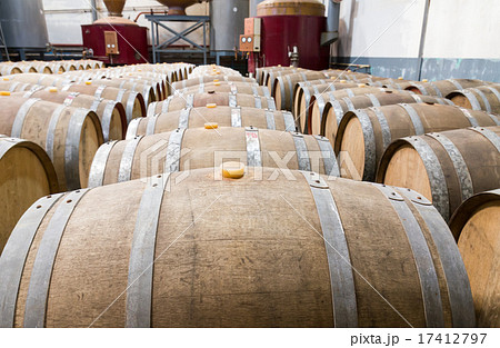 Wine cellar Wine cellar 17412797