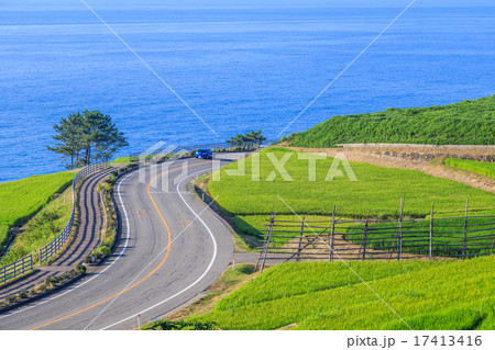 夕刻の白米千枚田 17413416