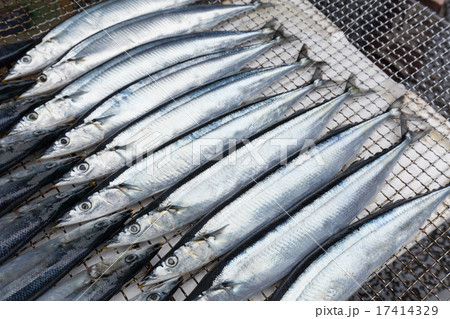 さんまの炭火焼 さんまの炭火焼 17414329