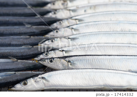 さんまの炭火焼 17414332