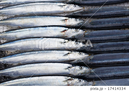 さんまの炭火焼 17414334