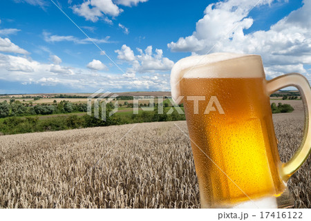 beer glass with landscape beer glass with landscape 17416122