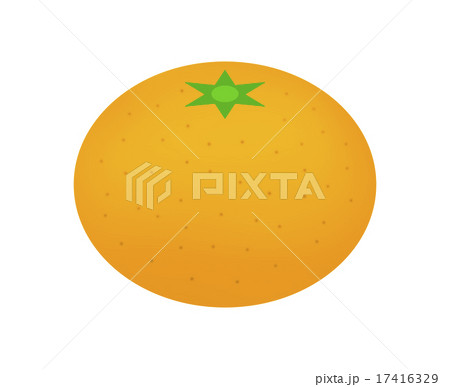 みかん みかん 17416329