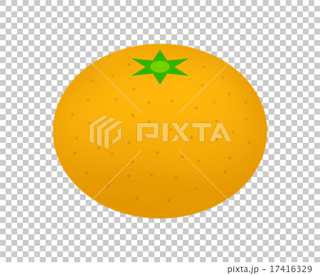 みかん みかん 17416329