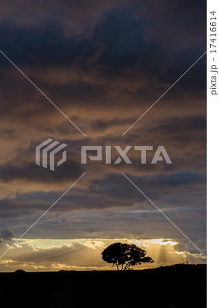 Beautiful canarian sunset Beautiful canarian sunset 17416614