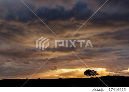 Beautiful canarian sunset 17416615