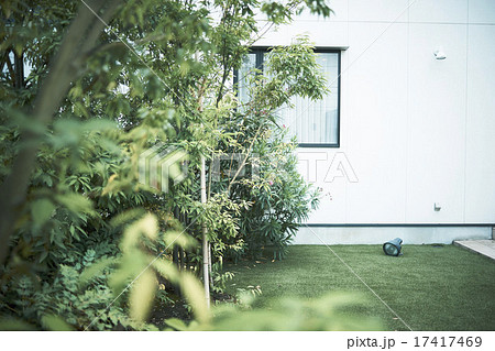 庭の植え込み 17417469