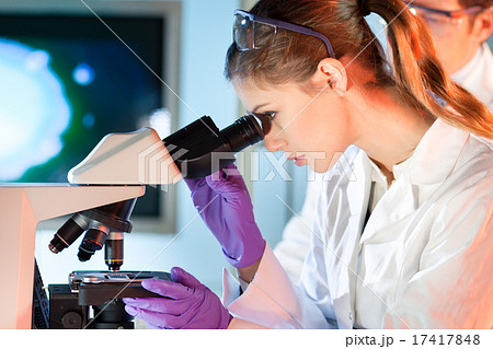 Life scientist researching in the laboratory. 17417848