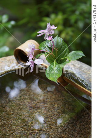 つくばい 17417933