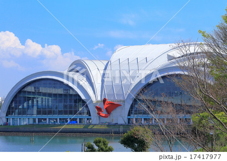 辰巳国際水泳場 17417977