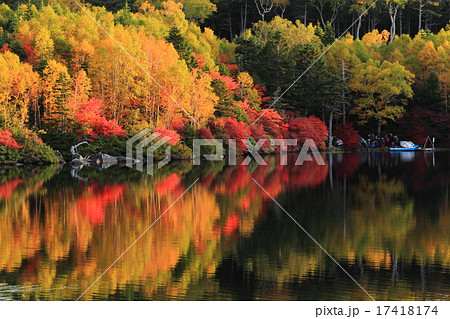 白駒池紅葉 17418174
