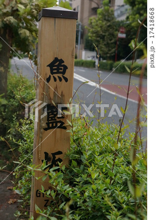 魚籃坂 魚籃坂 17418668