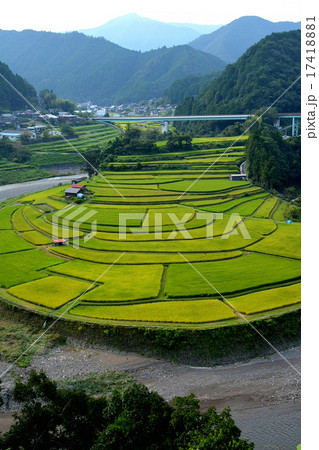 あらぎ島 あらぎ島 17418881