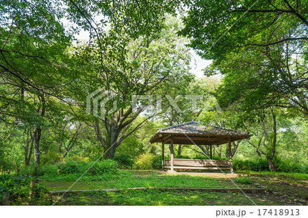 神代植物公園のあずまや 17418913