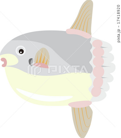 マンボウ 17418920