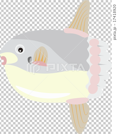 マンボウ 17418920