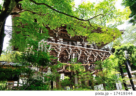 善峯寺山門 17419344