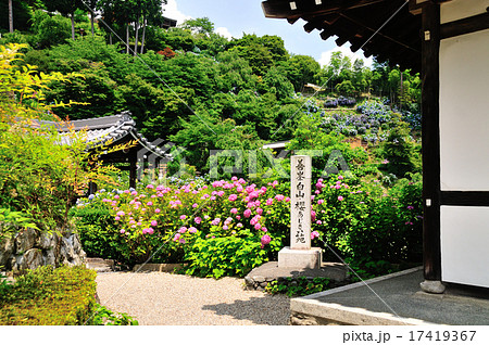 善峯寺あじさい苑 17419367