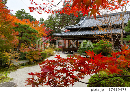 南禅寺天授庵の紅葉 17419473