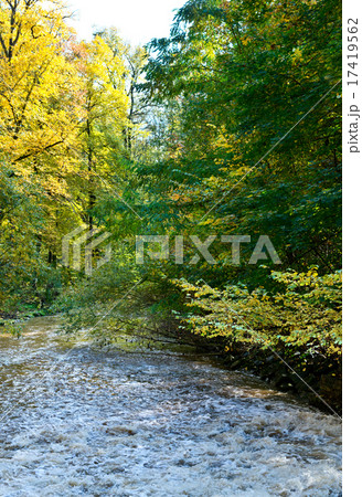 autumn scenery 17419562