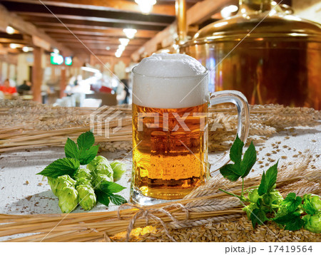 beer and hops 17419564