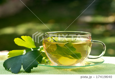 tea with herbaceous plant tea with herbaceous plant 17419640