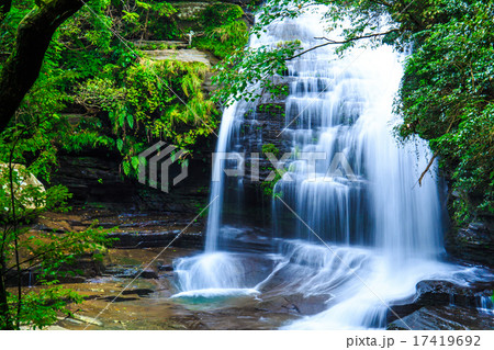 新緑のつがね落しの滝 17419692